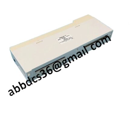 AD202MV Analog Input Module