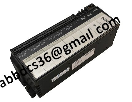 IC660TSA100 electronic module