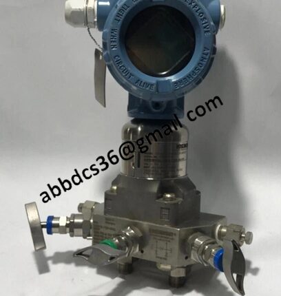 ROSEMENT C305121124-0000W transmitter manifold