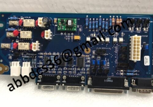 DMR231831